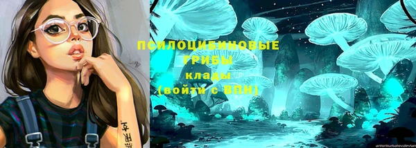 молекула духа Балабаново