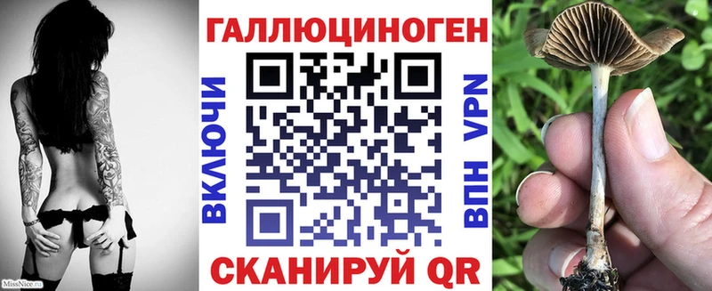 где продают наркотики  MEGA ССЫЛКА  Галлюциногенные грибы GOLDEN TEACHER  Видное 